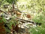 2005_2_Dcao0077.html