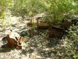 2005_2_Dcao0078.html