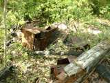 2005_2_Dcao0079.html