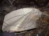 Chippewa_Lake_Win_2005-27.html
