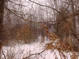 Chippewa_Lake_Win_2005-64.html