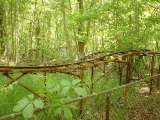 2005_1_Dcao0093.html