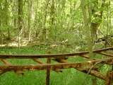 2005_1_Dcao0094.html