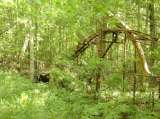 2005_1_Dcao0095.html