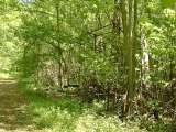 2005_1_Dcao0096.html