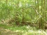 2005_1_Dcao0097.html