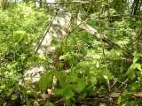2005_1_Dcao0040.html