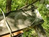 2005_1_Dcao0044.html