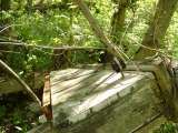 2005_1_Dcao0046.html