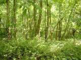 2005_1_Dcao0048.html