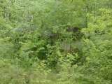 2005_1_Dcao0083.html