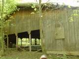 2005_1_Dcao0112.html