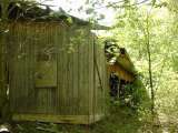 2005_1_Dcao0113.html