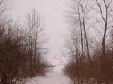 Chippewa_Lake_Win_2005-36.html