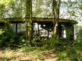 2005_1_Dcao0013.html