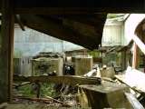 2005_1_Dcao0015.html