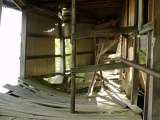 2005_1_Dcao0019.html