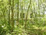 2005_1_Dcao0098.html