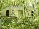 2005_1_Dcao0099.html