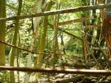2005_1_Dcao0122.html