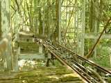 2005_1_Dcao0123.html