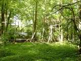 2005_1_Dcao0126.html
