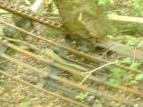 2005_1_Dcao0127.html