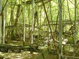 2005_1_Dcao0131.html