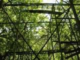 2005_1_Dcao0132.html
