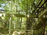 2005_1_Dcao0133.html