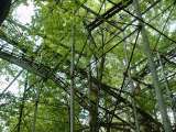 2005_1_Dcao0134.html