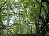 2005_1_Dcao0135.html