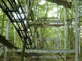 2005_1_Dcao0136.html