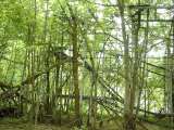 2005_1_Dcao0138.html