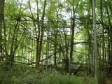 2005_1_Dcao0139.html