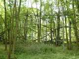 2005_1_Dcao0140.html