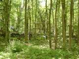 2005_1_Dcao0141.html