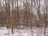Chippewa_Lake_Winter_2005-1.html