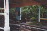 wildcat002.html