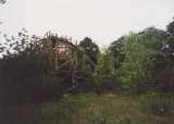 wildcat008.html