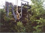 wildcat009.html
