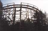 wildcat010.html