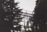 wildcat011.html