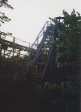 wildcat012.html
