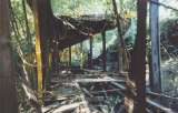 wildcat016.html
