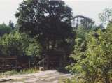 wildcat017.html