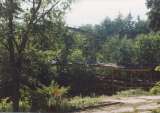 wildcat018.html