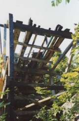 wildcat021.html