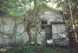 wildcat024.html