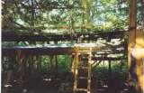 wildcat025.html